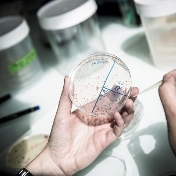 Enzyme mechanics, a lever for action against antimicrobial resistance